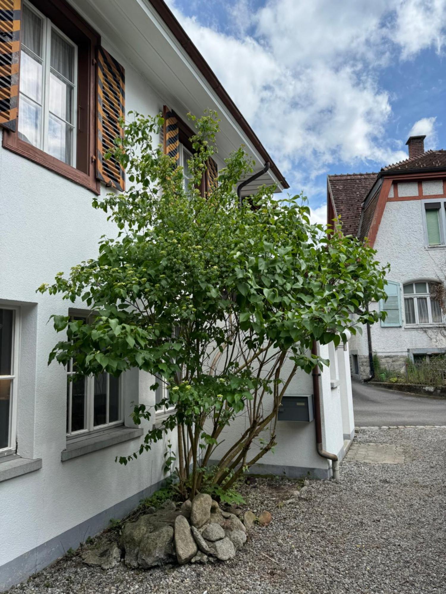 Garden House Villa Interlaken Exteriör bild